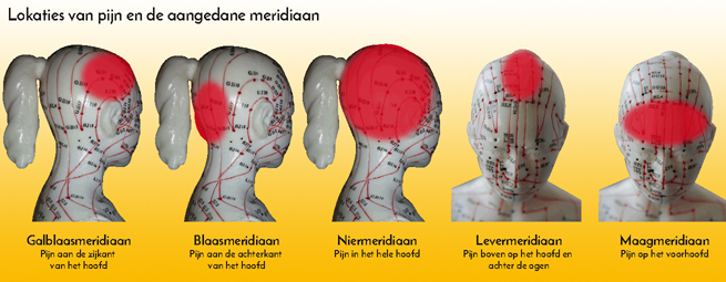 hoofdpijnen meridianen